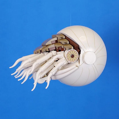 Nautilus MOC Sea Animal Display Building Kit - 3