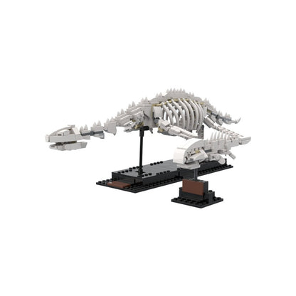 Plesiosaurus And Armored Fish MOC Fossil Building Kit | Marine Display Model - 1