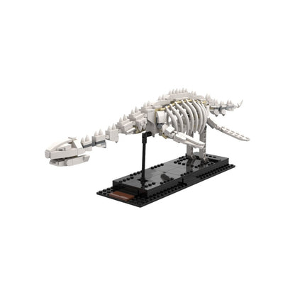 Plesiosaurus And Armored Fish MOC Fossil Building Kit | Marine Display Model - 3